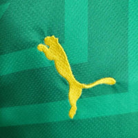 Manchester City Shirt 2023 2024 Goalkeeper