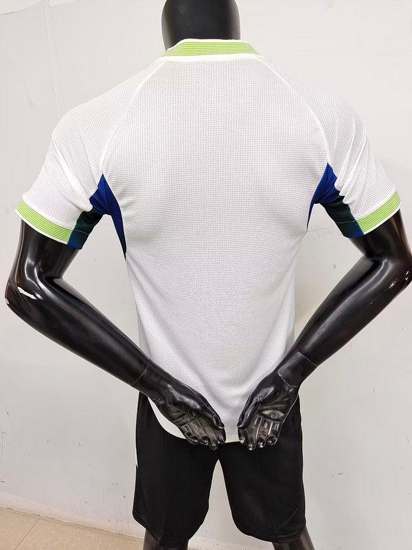 Algeria Concept Shirt 2025-26