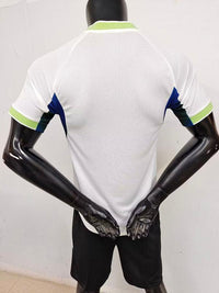 Algeria Concept Shirt 2025-26