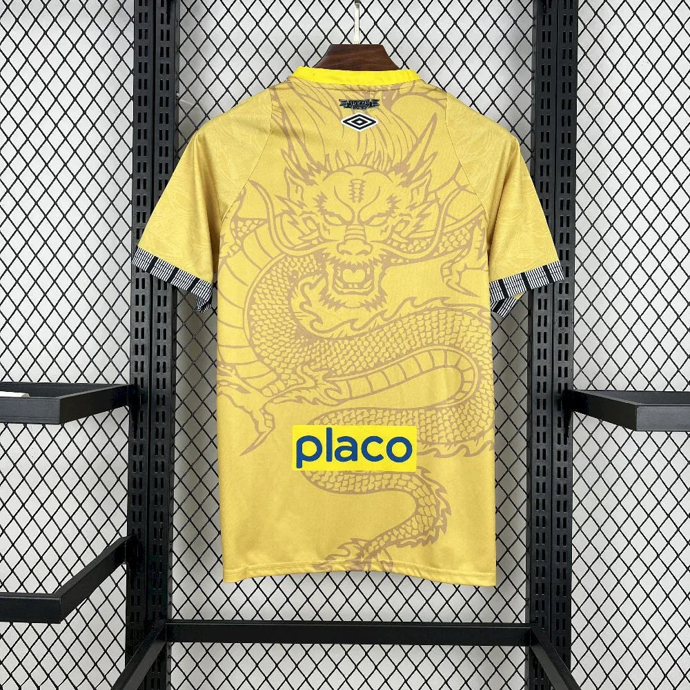 Santos Concept Shirt 2025-26
