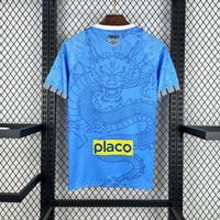 Santos Concept Shirt 2025-26