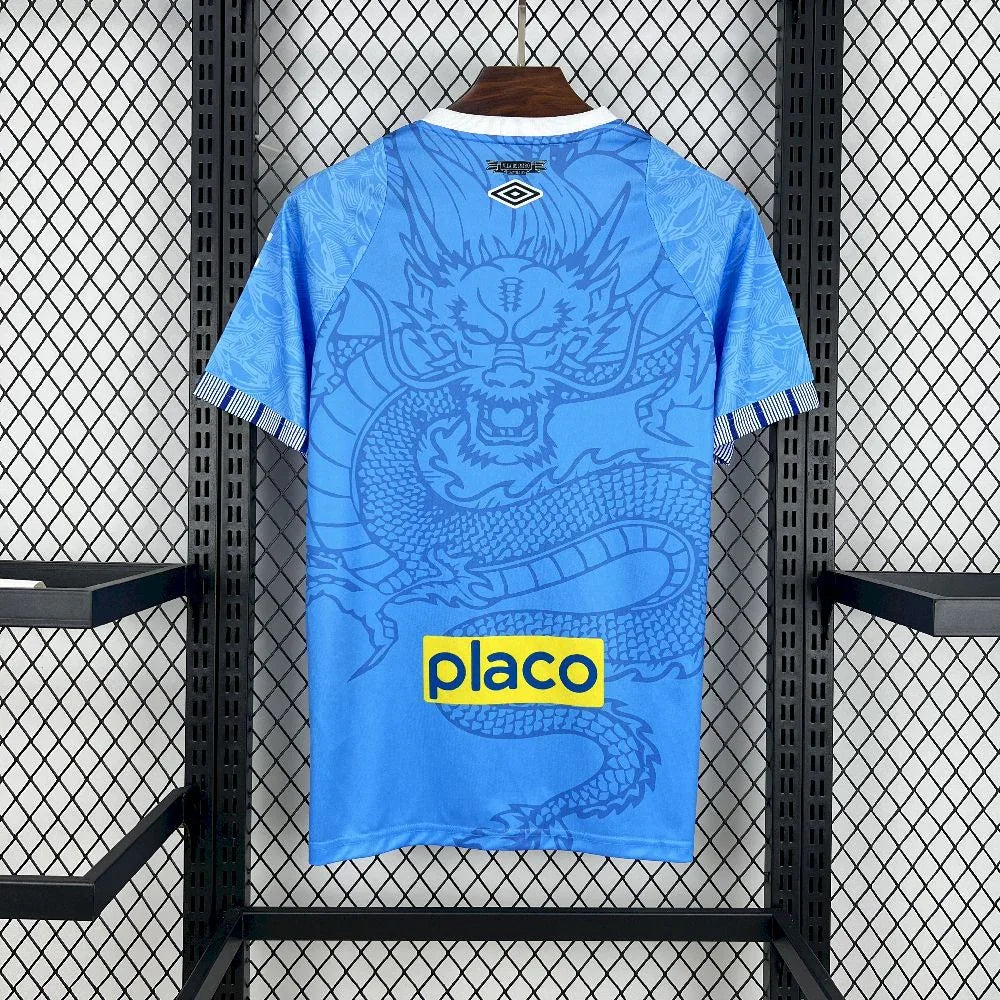 Santos Concept Shirt 2025-26