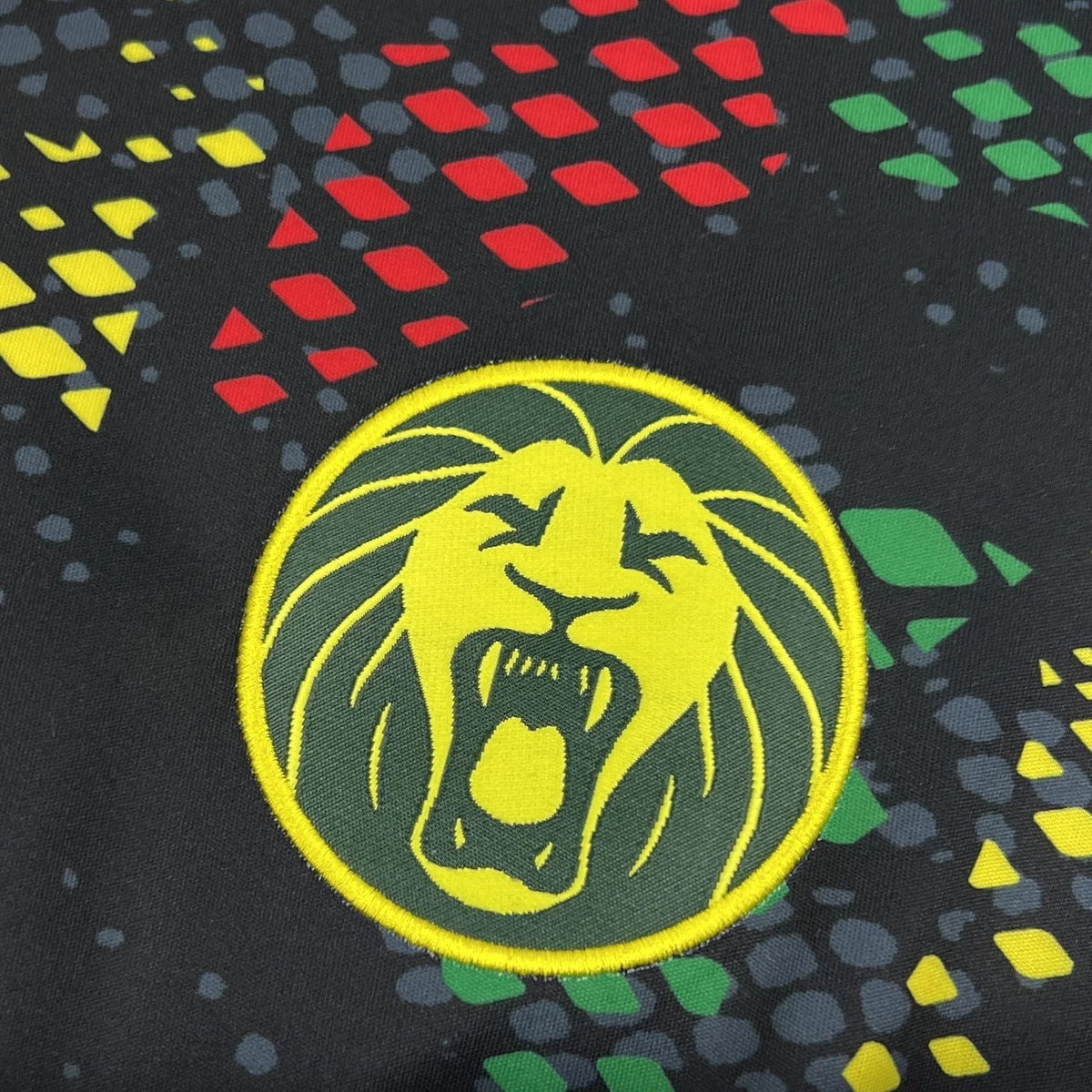 Cameroun World Cup Shirt 2026