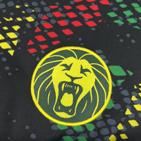 Cameroun World Cup Shirt 2026