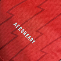 Arsenal Shirt 2023-2024 Home