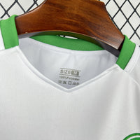 Irlande Concept Shirt 2026