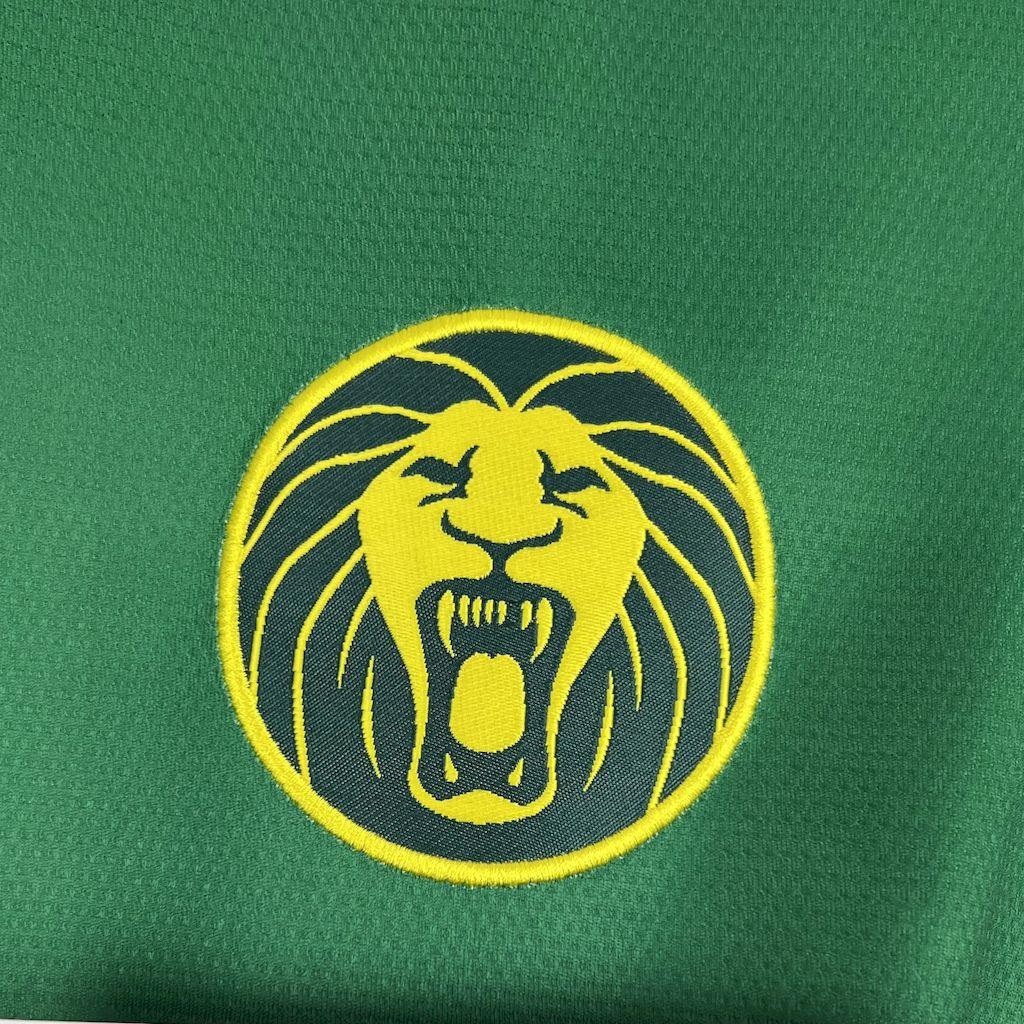 Cameroun CAN Shirt 2025-26