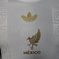 Mexico Concept Long Sleeve Shirt 2025-26