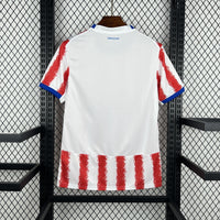 Paraguay World Cup Shirt 2026