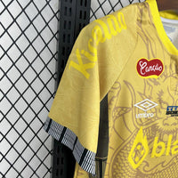 Santos Concept Shirt 2025-26