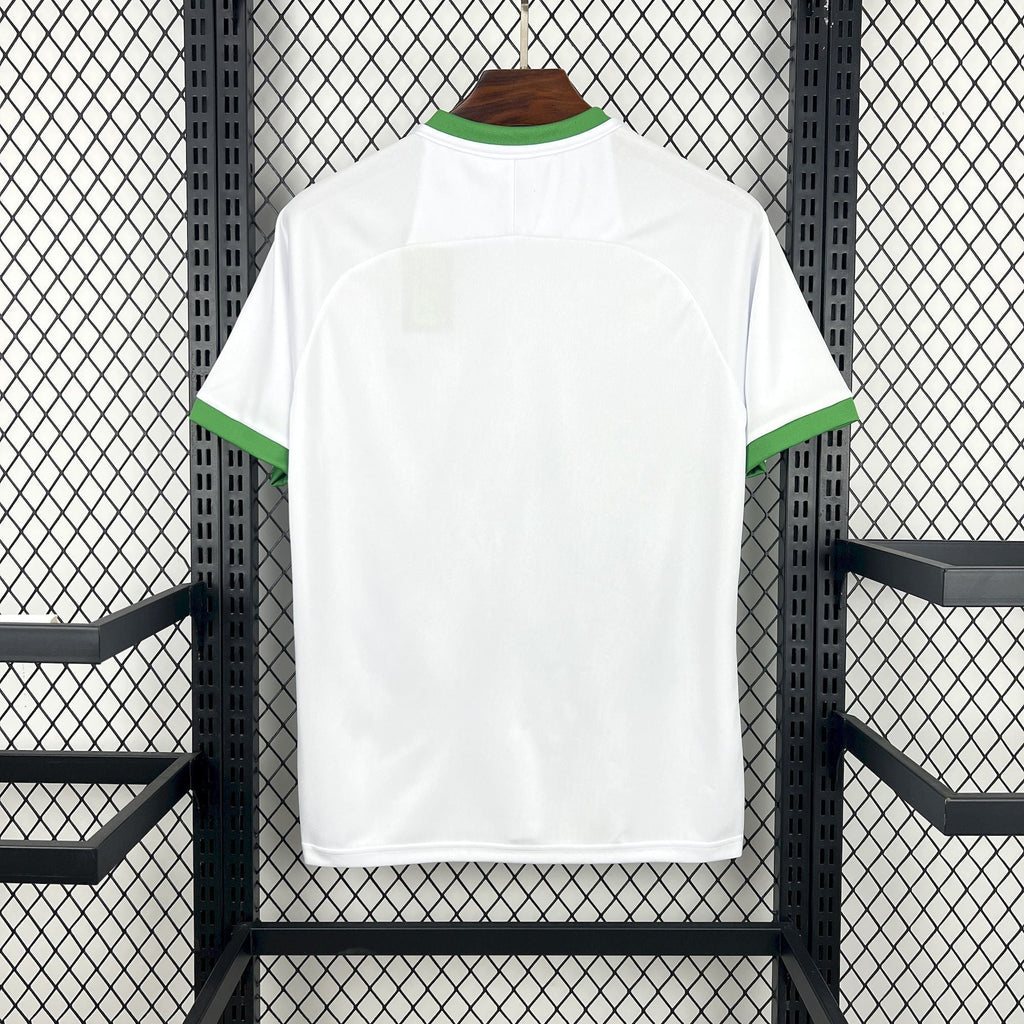 Irlande Concept Shirt 2026