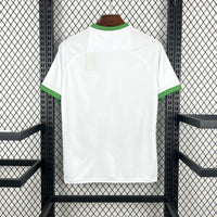 Irlande Concept Shirt 2026
