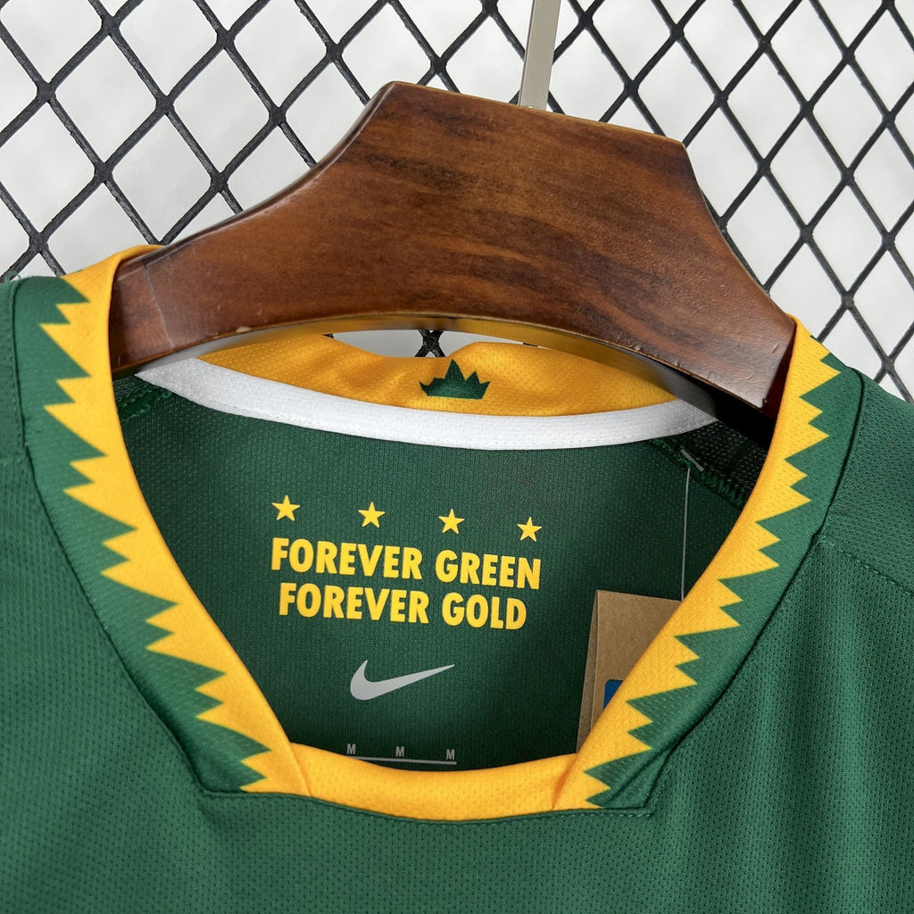 Afrique of Sud Shirt 2026