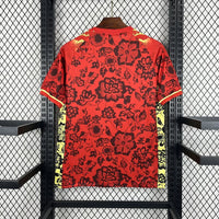 Portugal Concept Shirt 2024-25