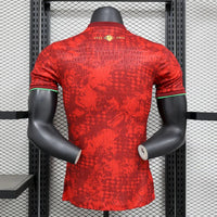 Portugal Concept Shirt 2025-26