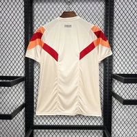 Lyon Concept Shirt 2024-25