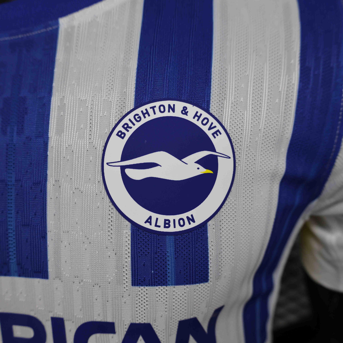 Brighton Shirt 2024-25