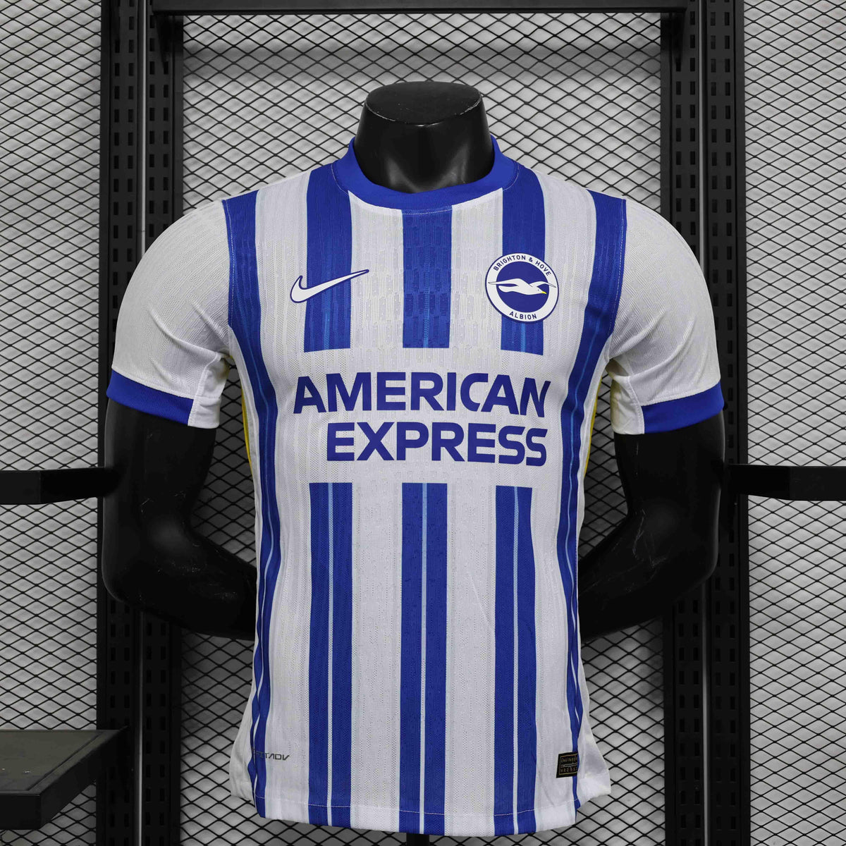 Brighton Shirt 2024-25