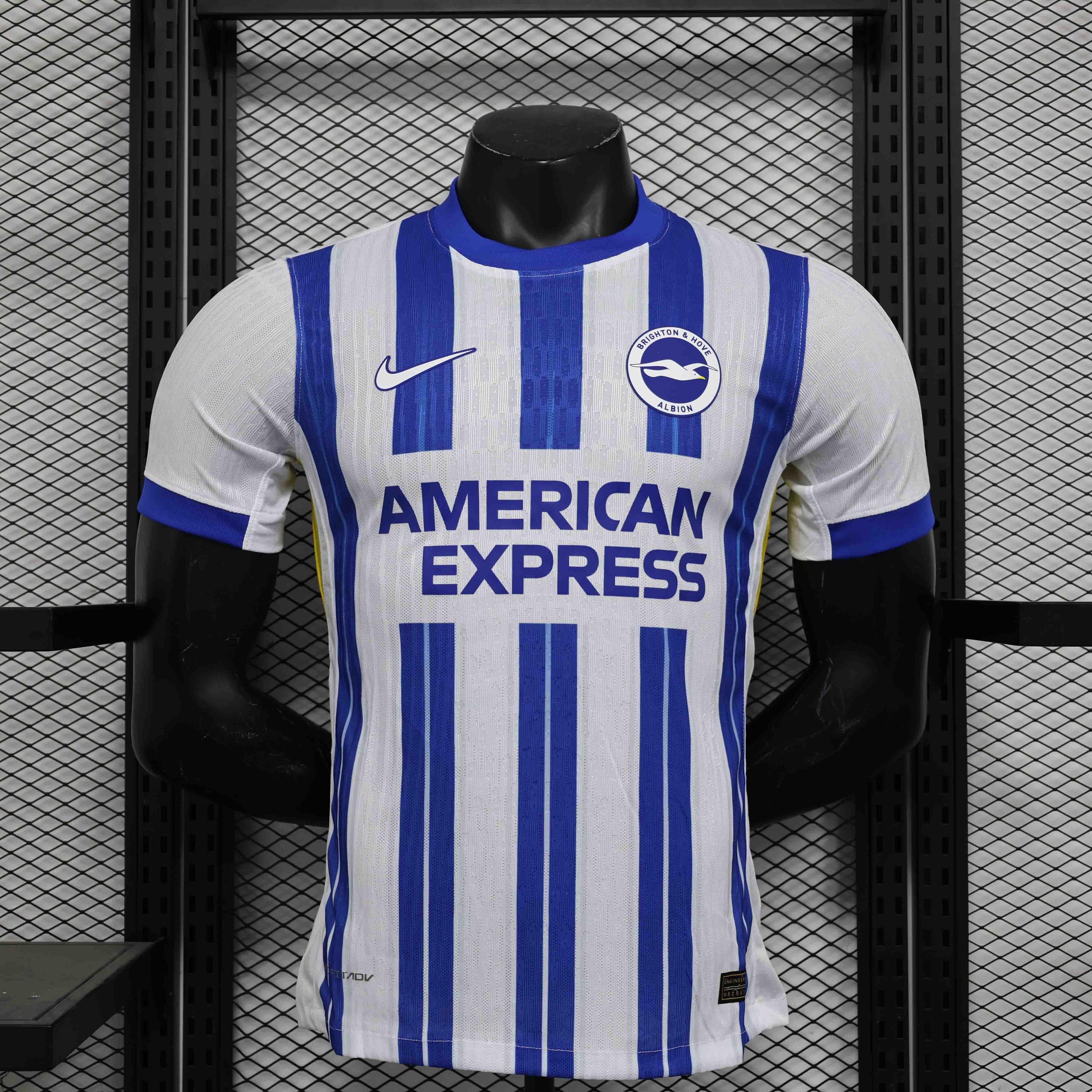 Brighton Shirt 2024-25