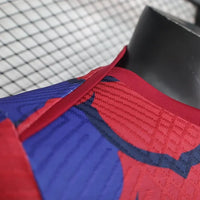 Football FC Barcelona Shirt 2024 2025 Pre-Match