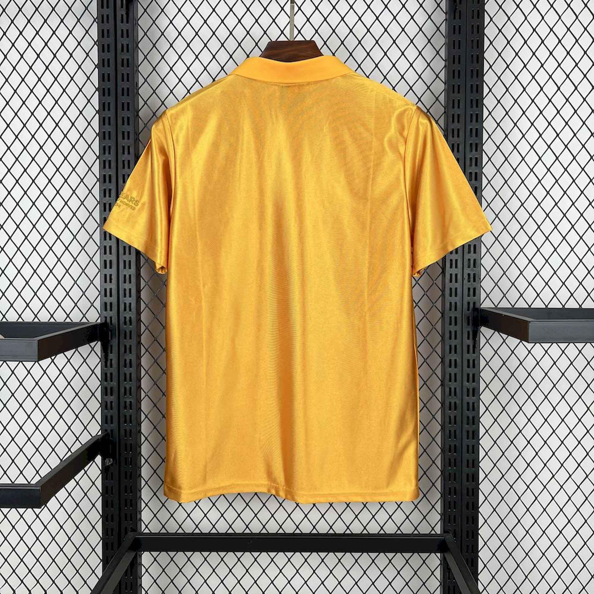 Wolves Concept Shirt 2025-26