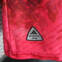 Japan Concept Shirt 2025-26