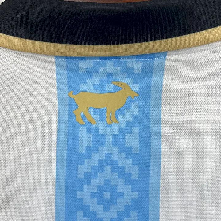 Argentina Football Shirt 2025 2026 Concept